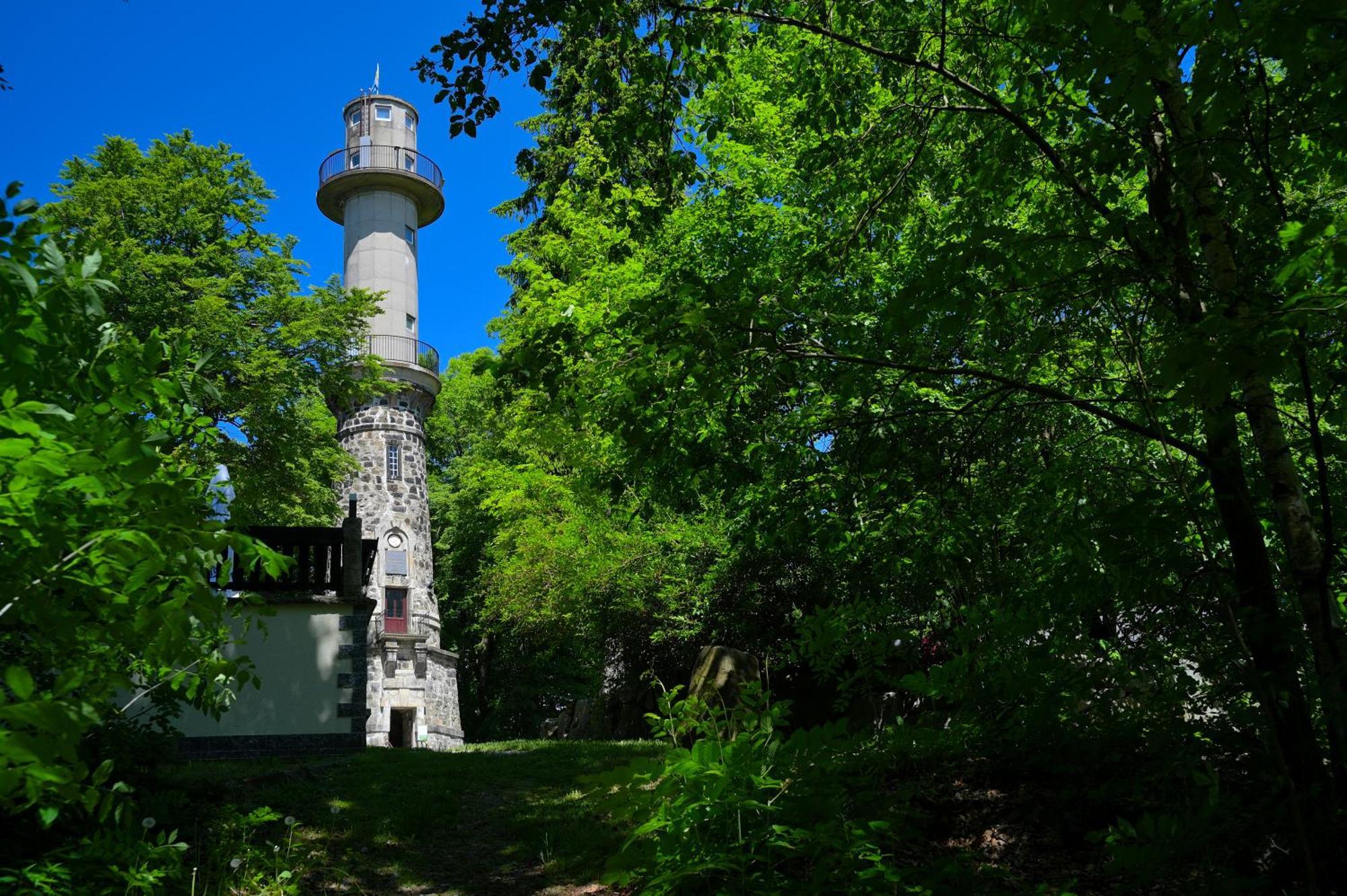 Gasthof Ungerberg Neustadt in Sachsen Kültér fotó