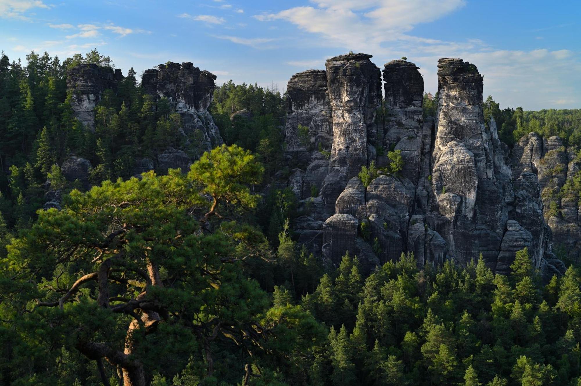 Gasthof Ungerberg Neustadt in Sachsen Kültér fotó